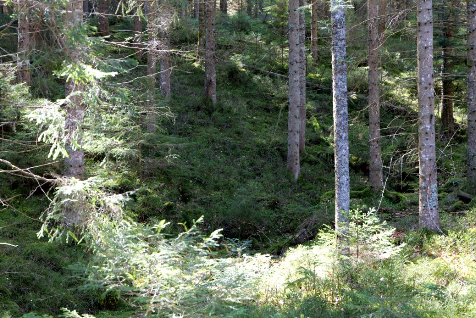 View from Untere Birkenaustraße on national park 2020-03-15 06