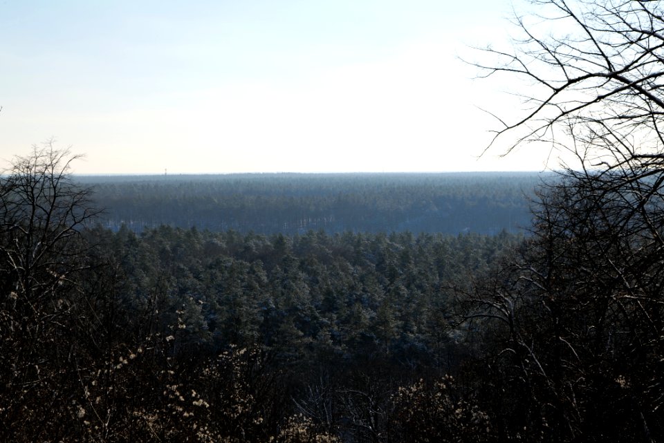 View from Teufelsberg with snow 2021-01-31 03