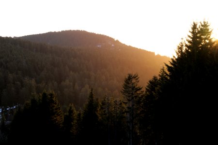 View from piste Mehliskopf 2020-03-13 05