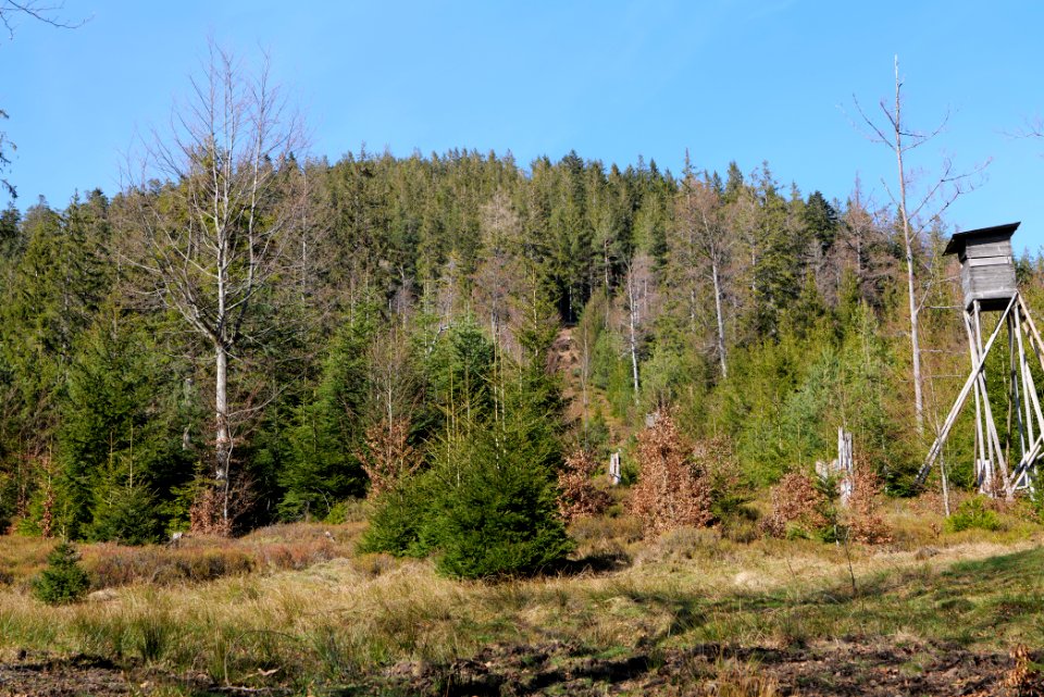 View from Untere Birkenaustraße on national park 2020-03-15 87