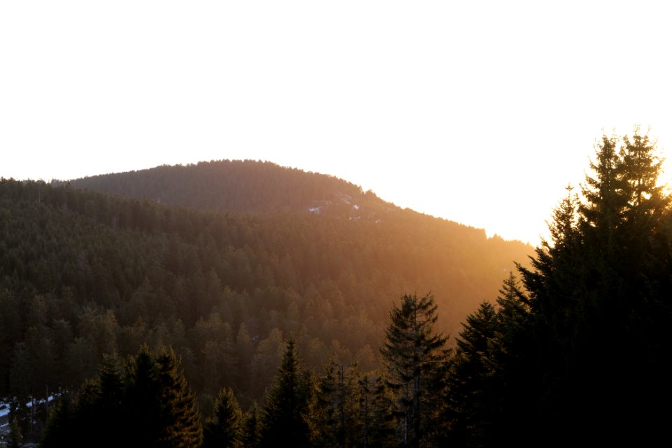 View from piste Mehliskopf 2020-03-13 06