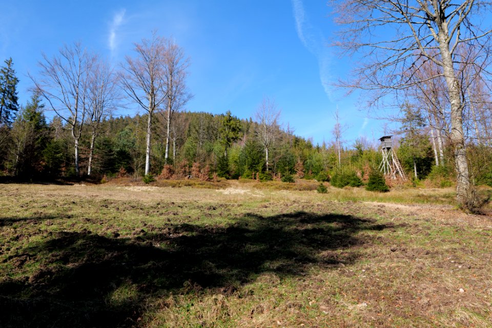View from Untere Birkenaustraße on national park 2020-03-15 89