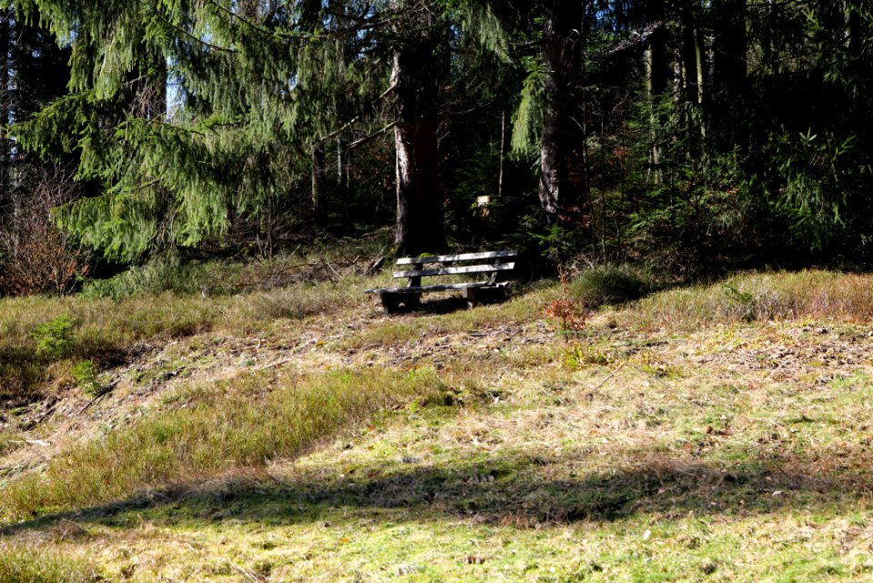 View from Untere Birkenaustraße on national park 2020-03-15 86
