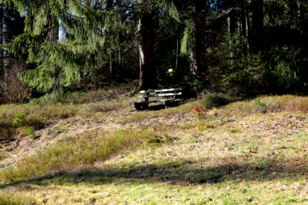 View from Untere Birkenaustraße on national park 2020-03-15 86