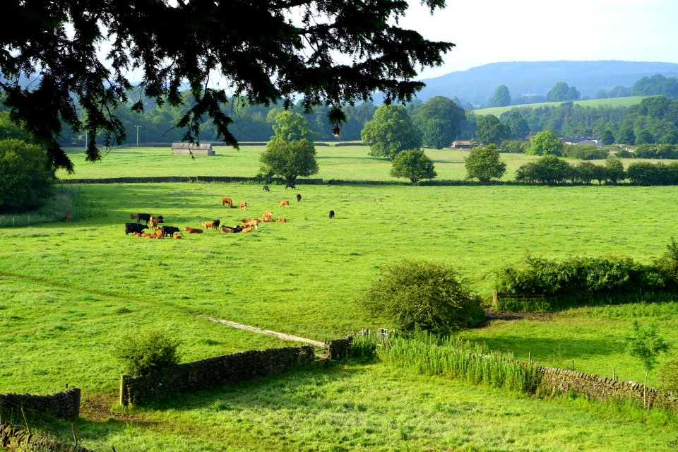 View from the Cavendish Hotel - Baslow, Derbyshire, England - DSC03664