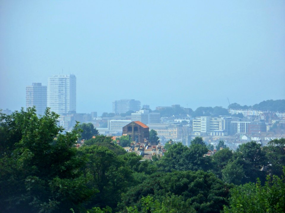 View from Tenantry Down, Race Hill, Brighton (August 2013) (14)