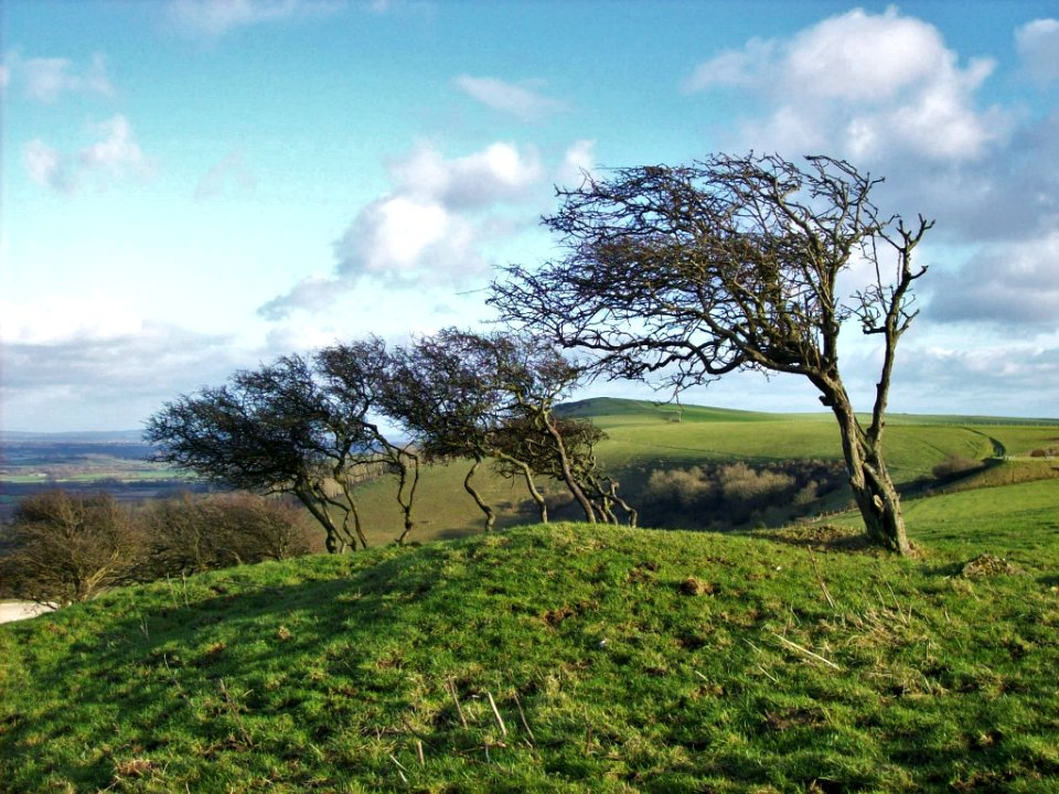 View from the Downs at Firle 03
