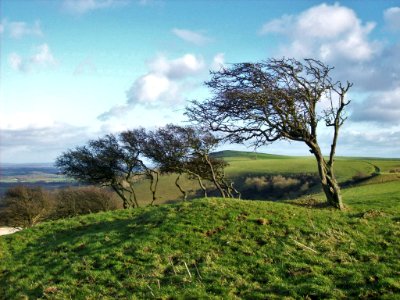 View from the Downs at Firle 03
