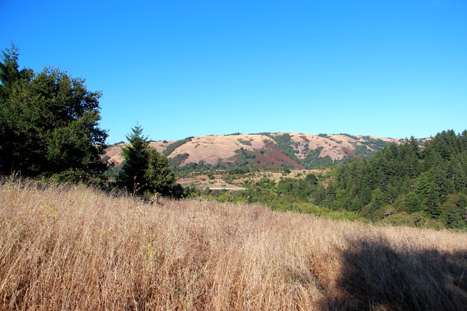 View from Sunny Jim Trail, Aug 2019 4