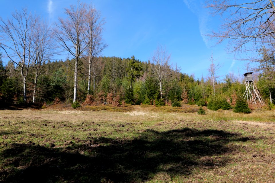 View from Untere Birkenaustraße on national park 2020-03-15 90