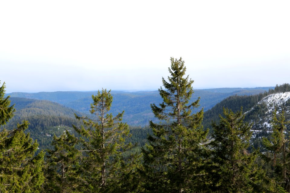View from trail from Ochsenstall Hornisgrinde to Kleine Grinde 2020-03-14 04