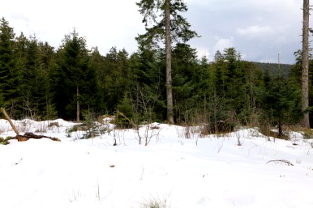 View from track Unterstmatt to Ochsenstall 2020-03-14 01