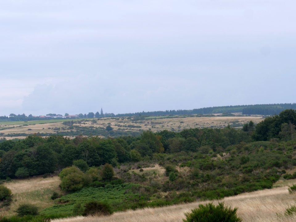 View from trail from Gierberg to Müsauelsberg in September 2019 19