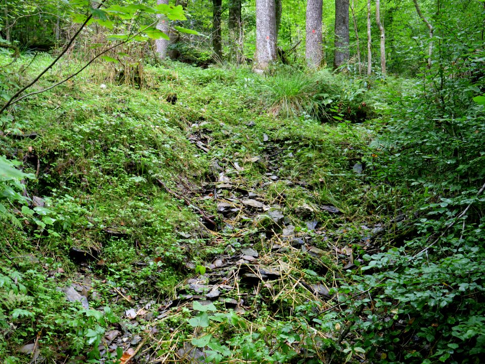 View from Schrauffweg Erkensruhr valley 01