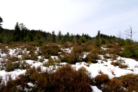 View from track Unterstmatt to Ochsenstall 2020-03-14 12