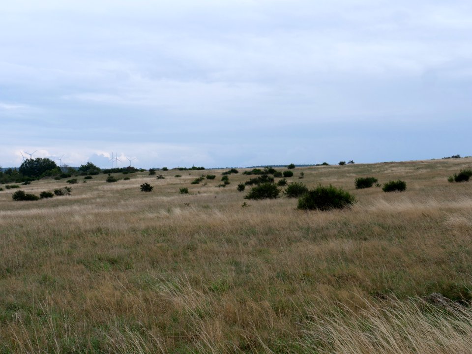 View from trail from Gierberg to Müsauelsberg in September 2019 23