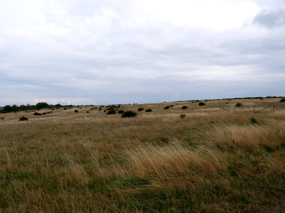 View from trail from Gierberg to Müsauelsberg in September 2019 22