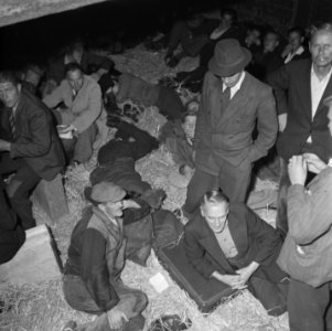 Vrijwilligers helpen de boeren in de Noordoostpolder, Bestanddeelnr 900-5627