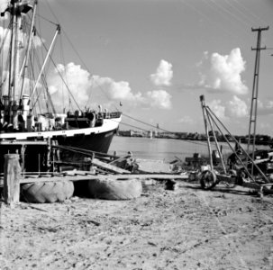 Vrachtschip de ms. Nestor in de haven van Paramaribo, Bestanddeelnr 252-2150