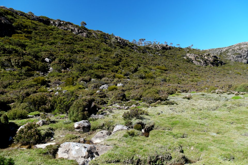 Walls of Jerusalem National Park, Tasmania 104
