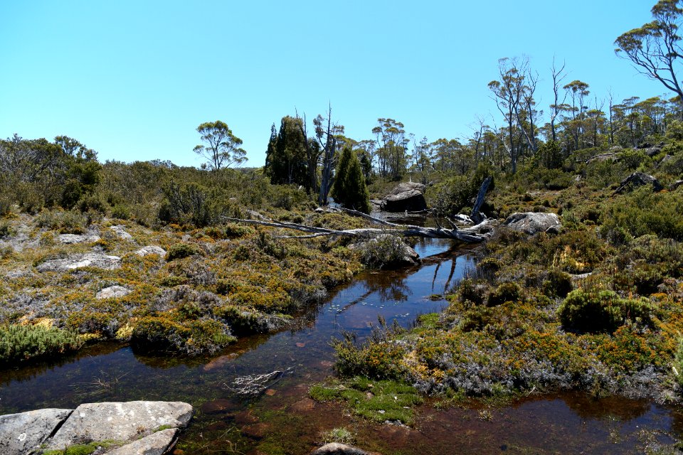 Walls of Jerusalem National Park, Tasmania 44