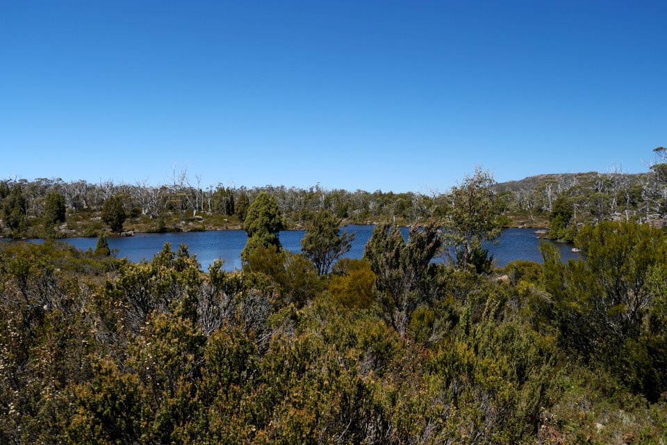 Walls of Jerusalem National Park, Tasmania 59