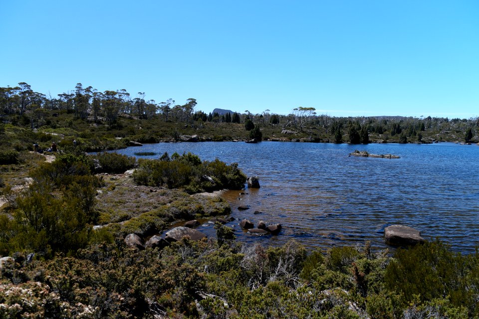 Walls of Jerusalem National Park, Tasmania 71