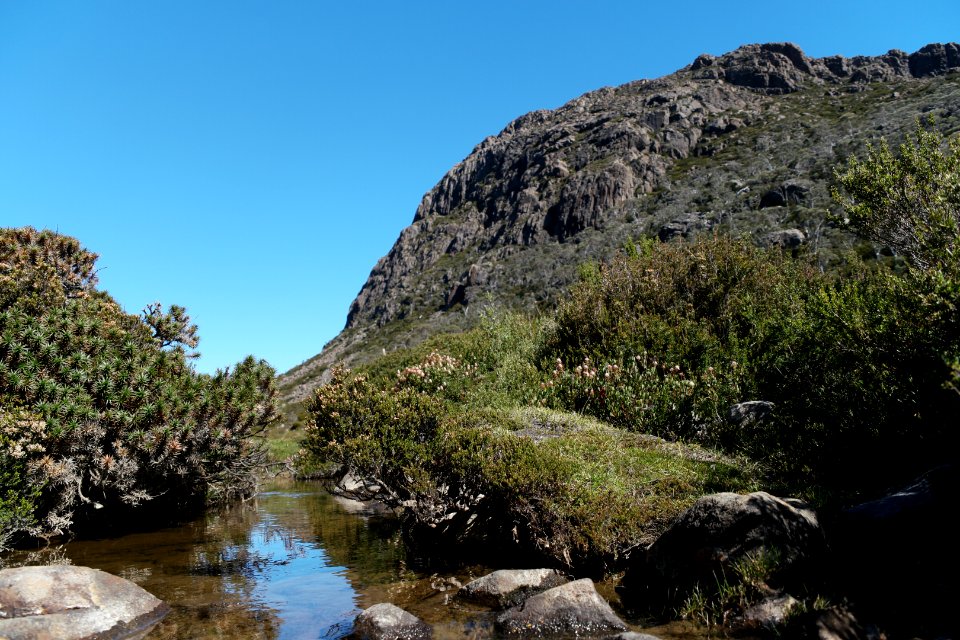 Walls of Jerusalem National Park, Tasmania 120