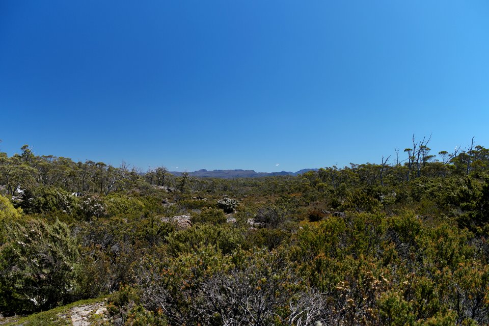 Walls of Jerusalem National Park, Tasmania 61