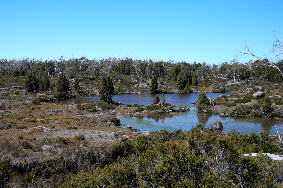 Walls of Jerusalem National Park, Tasmania 65
