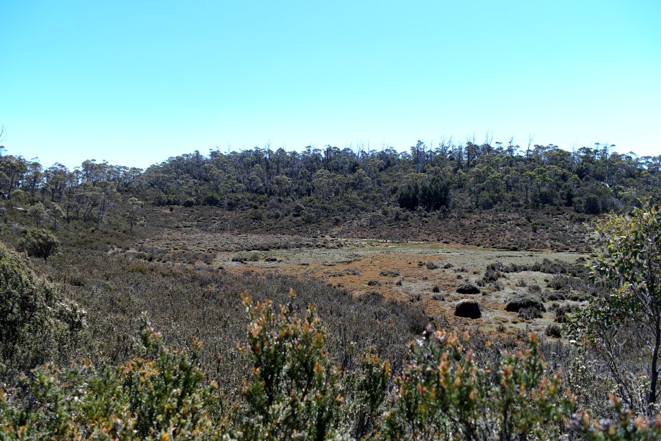Walls of Jerusalem National Park, Tasmania 89