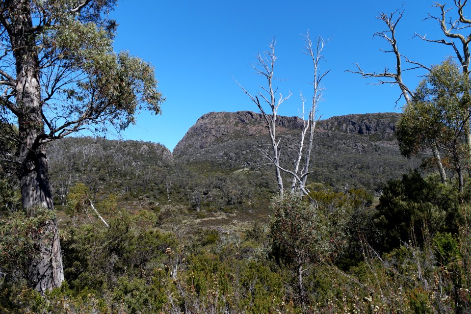 Walls of Jerusalem National Park, Tasmania 79