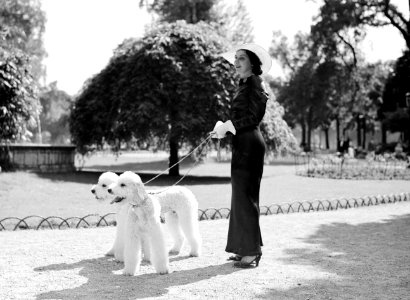 Vrouw met twee honden in het Bois de Boulogne, Bestanddeelnr 255-8720 photo
