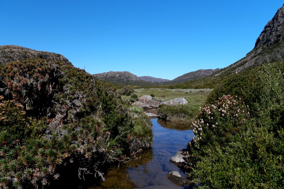 Walls of Jerusalem National Park, Tasmania 117