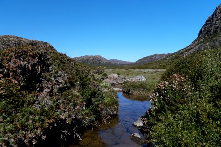 Walls of Jerusalem National Park, Tasmania 117