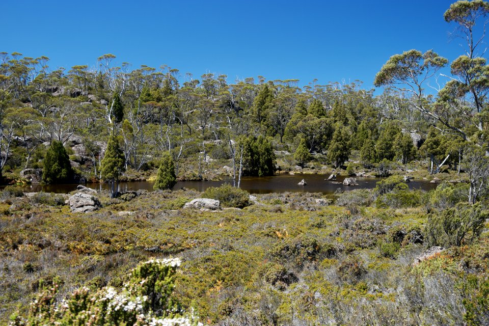 Walls of Jerusalem National Park, Tasmania 53