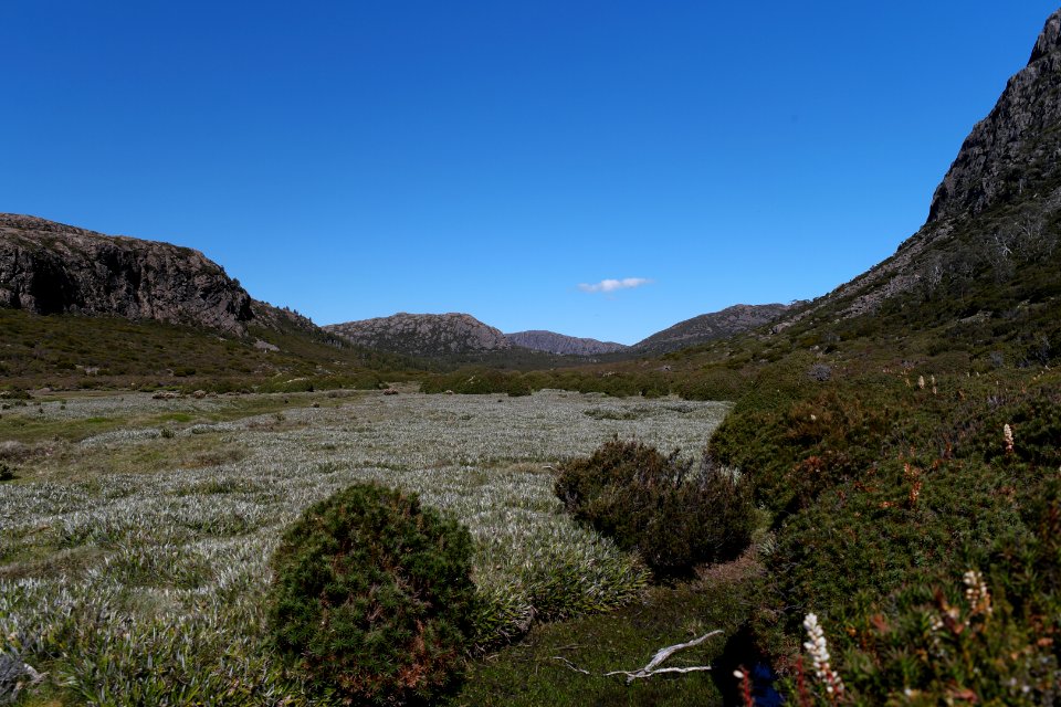 Walls of Jerusalem National Park, Tasmania 106