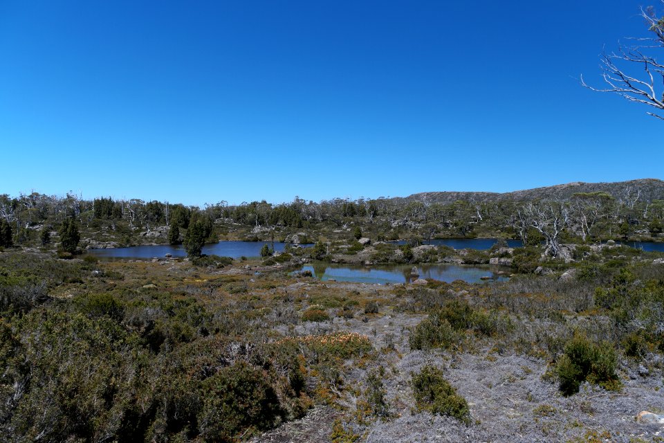 Walls of Jerusalem National Park, Tasmania 63