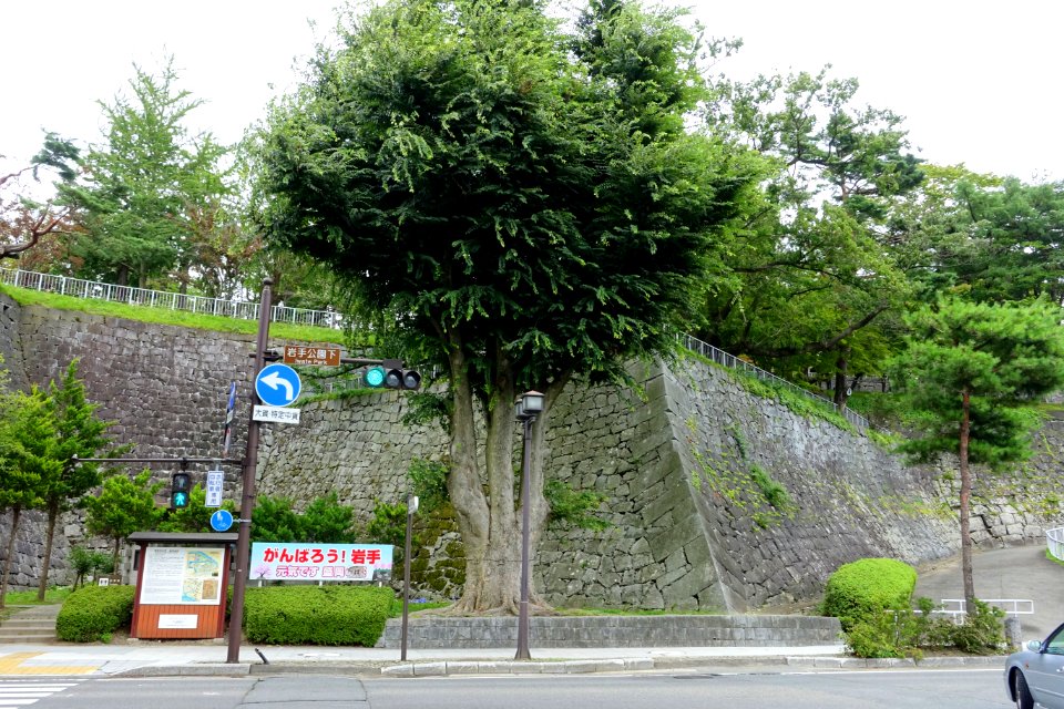 Walls - Morioka Castle - Iwate, Japan - DSC03895