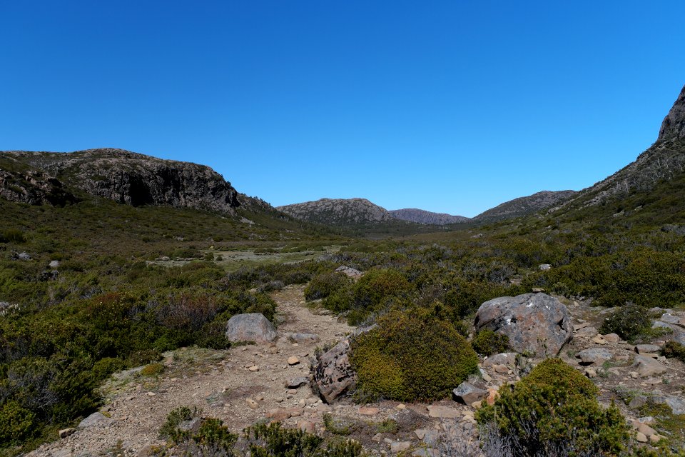 Walls of Jerusalem National Park, Tasmania 98