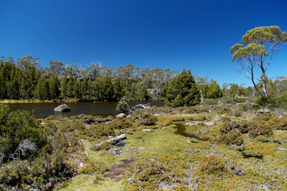 Walls of Jerusalem National Park, Tasmania 57