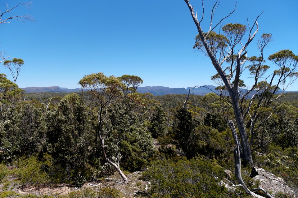 Walls of Jerusalem National Park, Tasmania 30