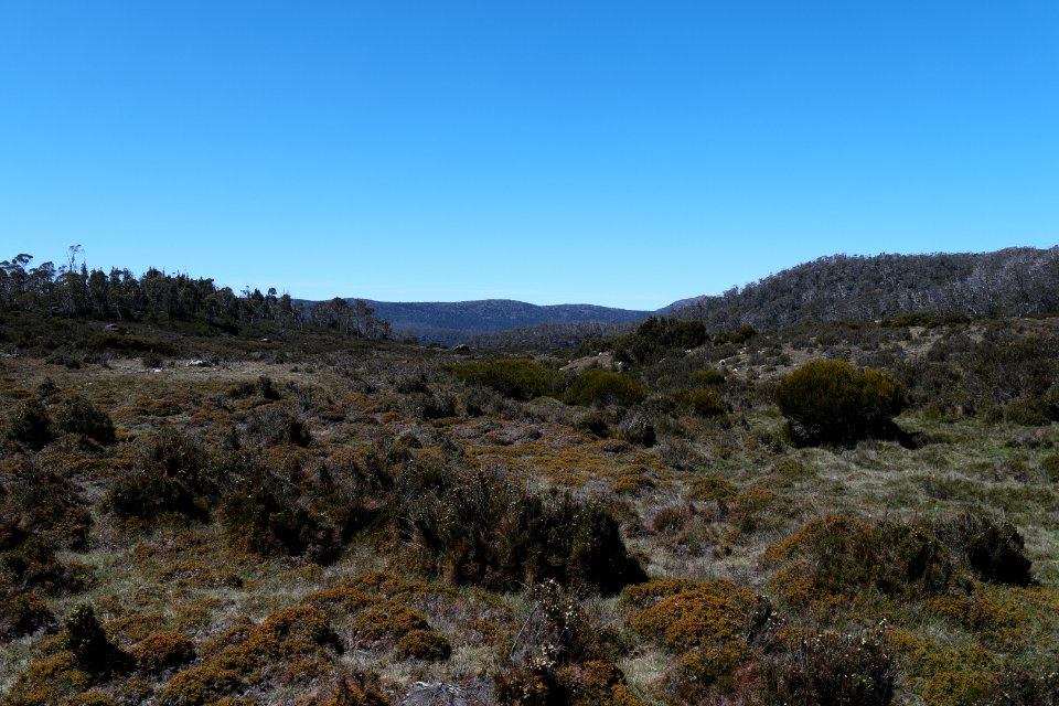 Walls of Jerusalem National Park, Tasmania 85