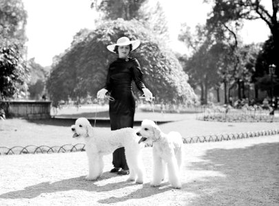 Vrouw met twee honden in het Bois de Boulogne, Bestanddeelnr 255-8719 photo