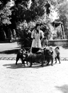 Vrouw met vier honden in het Bois de Boulogne, Bestanddeelnr 255-8718