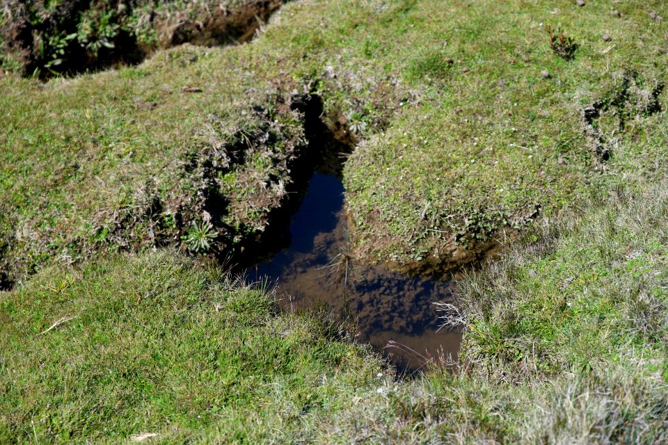 Walls of Jerusalem National Park, Tasmania 103