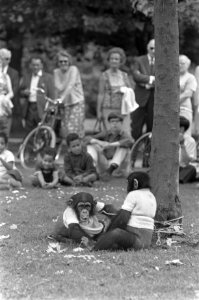 Vrouw met twee apen in Vondelpark. Aap hangend aan tak, Bestanddeelnr 920-5134