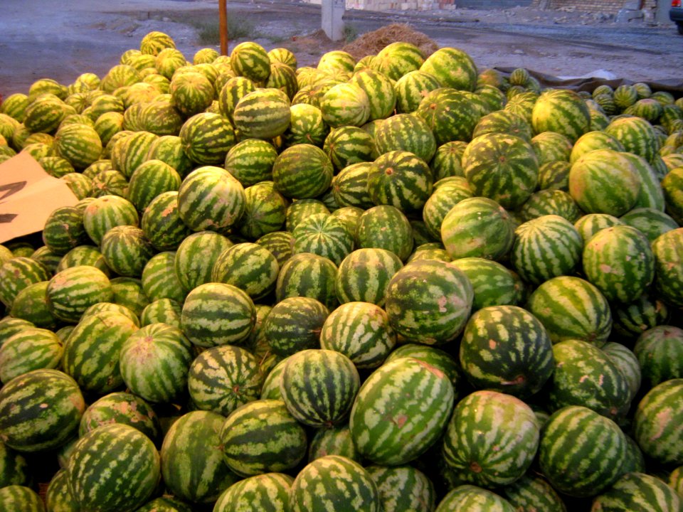 Watermelon - Fruit Bazaar - near Besat sq - Nishapur 12