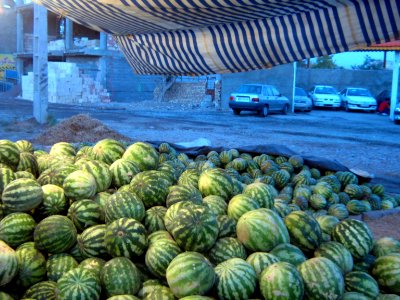 Watermelon - Fruit Bazaar - near Besat sq - Nishapur 05
