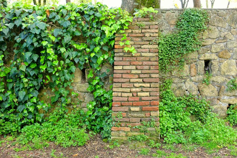 Wall - Villa Borghese - Rome, Italy - DSC05014
